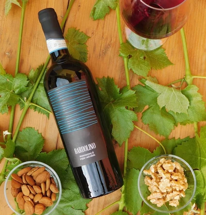 Tra Storia e Futuro: Degustazione Vini e Light Lunch/Dinner sulle Colline del Garda 19